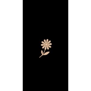 Marguerite (petite)