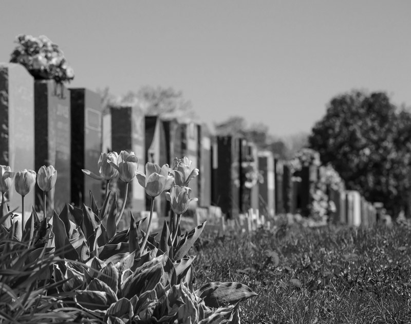 photo jardin cimetière